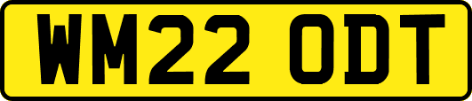WM22ODT