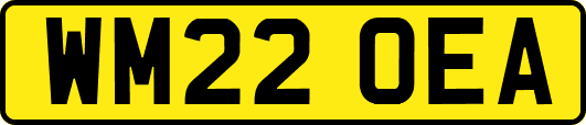 WM22OEA