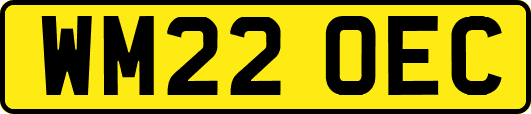 WM22OEC