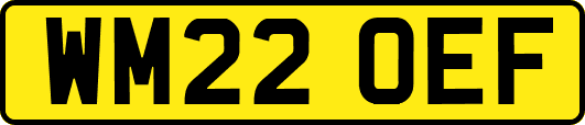 WM22OEF