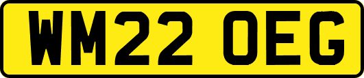 WM22OEG