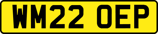 WM22OEP