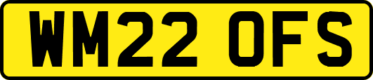 WM22OFS