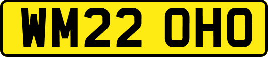 WM22OHO