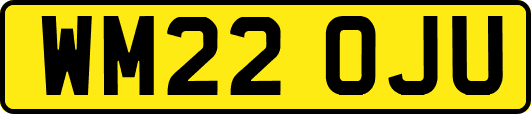 WM22OJU
