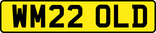 WM22OLD