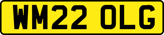 WM22OLG