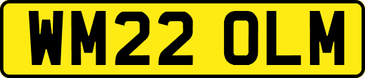 WM22OLM