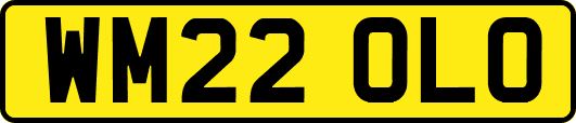 WM22OLO