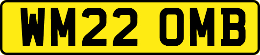 WM22OMB