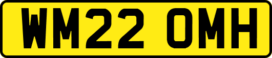 WM22OMH