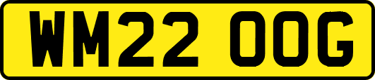 WM22OOG