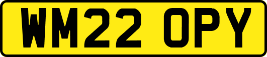 WM22OPY