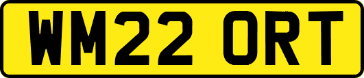 WM22ORT