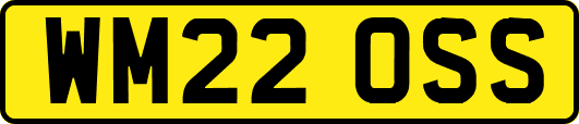 WM22OSS