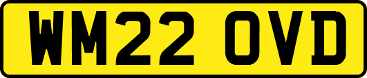 WM22OVD