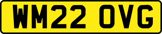WM22OVG