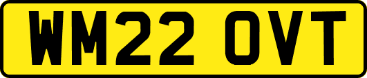 WM22OVT