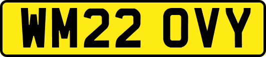 WM22OVY