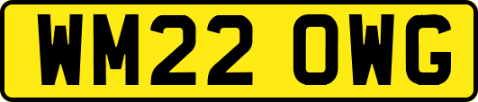 WM22OWG