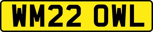 WM22OWL