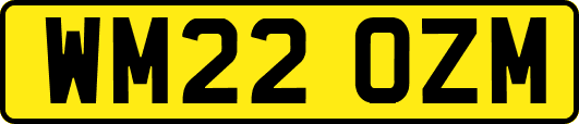WM22OZM