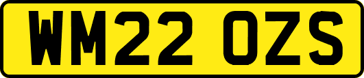 WM22OZS
