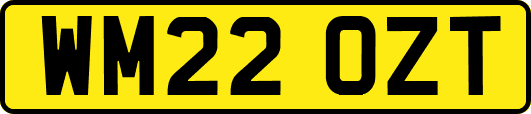 WM22OZT