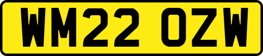 WM22OZW