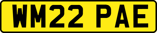 WM22PAE