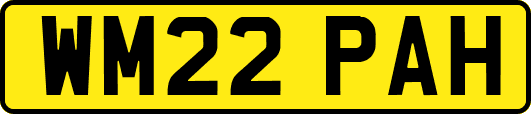WM22PAH