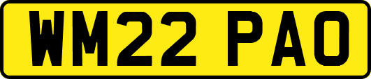 WM22PAO