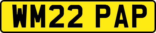 WM22PAP