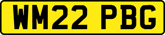 WM22PBG