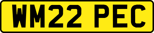 WM22PEC