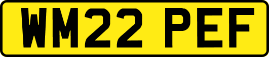 WM22PEF