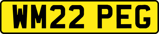 WM22PEG