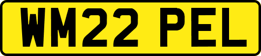 WM22PEL