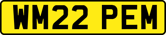 WM22PEM