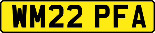 WM22PFA