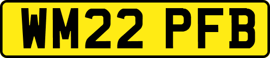 WM22PFB