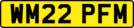 WM22PFM