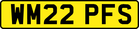 WM22PFS