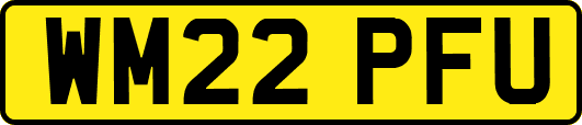 WM22PFU