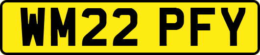 WM22PFY
