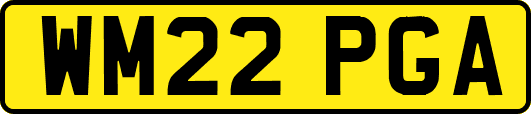 WM22PGA