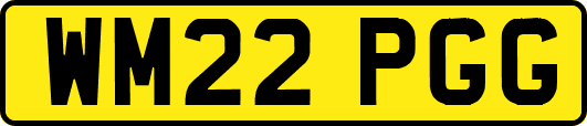 WM22PGG