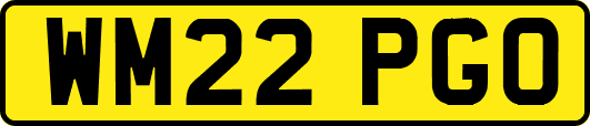 WM22PGO