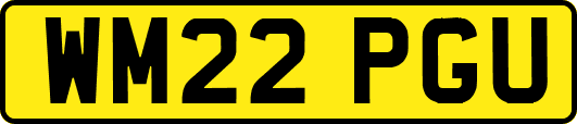 WM22PGU