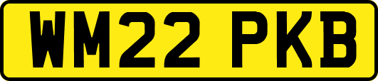 WM22PKB